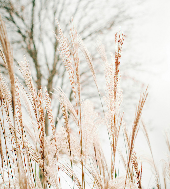 Dr. med. Bettina Mühlstädt